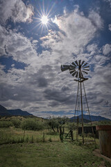 Farming Windmills Working to Water the Cattle in Agriculture Settings