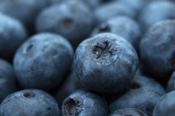 Macro shot of fresh blueberries.