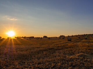 sunset over the field