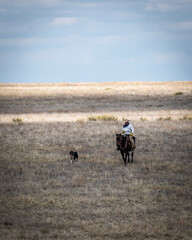 A distant and unrecognizable cowboy on the eastern Plains of Colorado one summer day