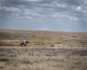 Fototapeta premium A distant and unrecognizable cowboy on the eastern Plains of Colorado one summer day