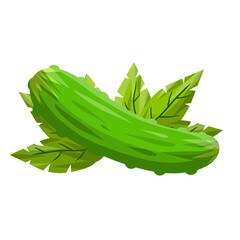 Cucumber. Green fresh vegetable and leaves. Harvesting and healthy food. Element of vegetarian food. Cartoon flat illustration