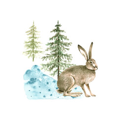 wild hare on a background of green Christmas trees, watercolor illustration for winter holidays