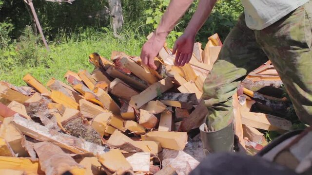 Lumberjack Sorts Firewood To Burn As Natural Fuel Which He Allways Use In His Rural Life