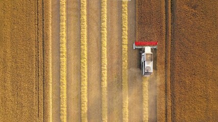 Vogelperspektive: Mähdrescher bei der Ernte von Getreide auf einem Kornfeld © keBu.Medien