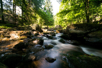 Small streams at the foot of the Brocken (Germany, Harz).