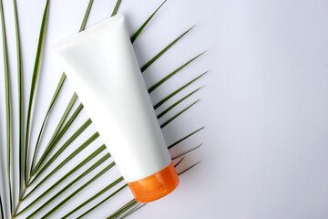 Cosmetic bottle containers with green herbal leaves, Blank label for branding mock-up, Natural beauty product concept.