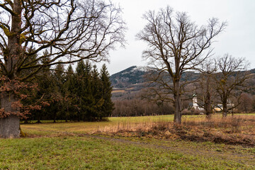 Obraz premium melancholy country side outskirts environment space of sadness rural place with bare trees in October season