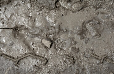 Mud texture or wet gray soil as natural background.