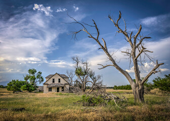 Dead Trees and Old Abandoned Houses add a scary vibe