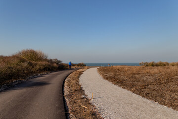 path between bare trees, sands in early spring in the Netherlands goes to the North Sea