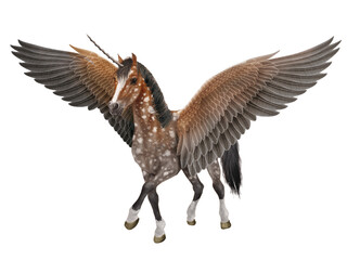 illustration, cheval, licorne, volant, ailes, vol, gris, beau, nature, animal, faune, fantastique, sauvage, liberté