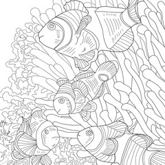 Fishes. Clown fish vector illustration. Pencil art. Underwater landscape