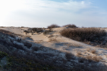 sand hills on the North Sea in the Netherlands in early spring