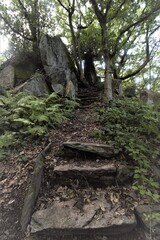 Ancient Calvery un the Leicestershire county side