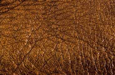 Old vintage genuine soft brown leather texture background, top layer with pores and scratches, macro, close-up