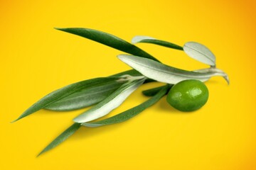 Olive.