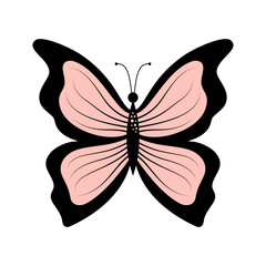 pink butterfly isolated on white, vector illustration