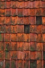 old roof tile abstract