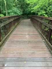 Obraz premium wooden bridge in the forest