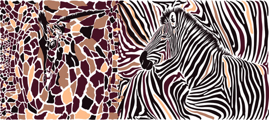 Abstract texture of giraffe and zebra © ČEREŠŇÁK  Vladimír