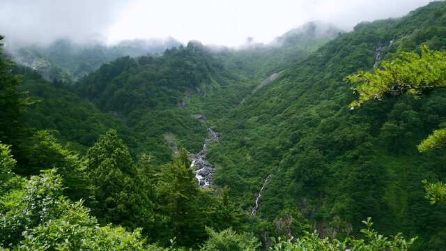 カモシカ展望台から見える夏の風景