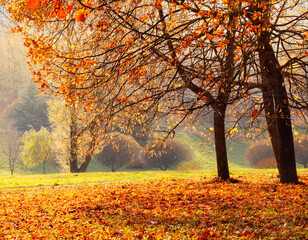Naklejka na ściany i meble Beautiful Nature Autumn landscape