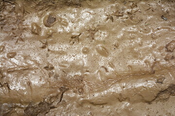 Mud texture or wet brown soil as natural background.