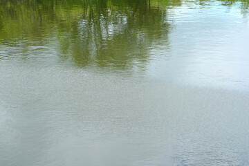 Water surface with reflections. Lake landscape.