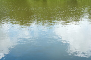 Water surface with reflections. Lake landscape.