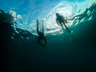 Underwater photo of couple snorkeling in a sea