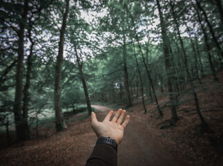 Hand showing the way towards a dirt road, earthy colors enhances the wilderness in nature