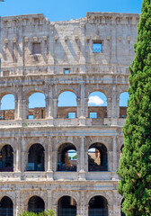 Fototapeta premium Coliseu de Roma