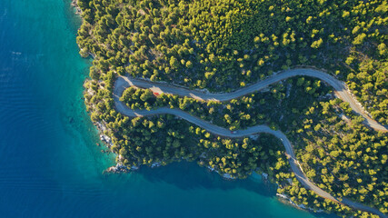 Aerial drone top down photo of snake winding road in tropical island covered with pine trees