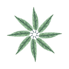 tropical leafs palm nature circular decoration