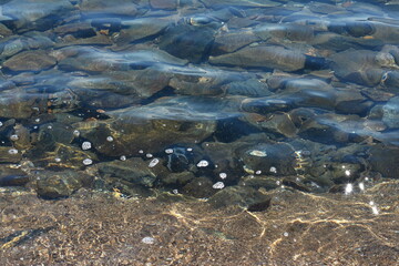 Texture of water. Abstract image of top view of shiny wave of clear sea water over sand beach, for beautiful background decoration of summer time. Game of light on the sea, sand beach . sea urchins.