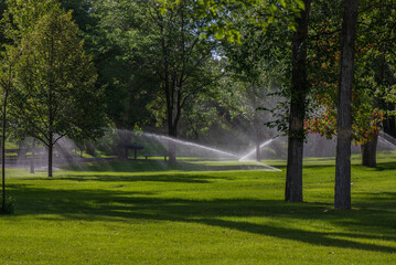 Obraz premium water sprinkler in the park
