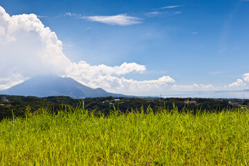 桜島の遠景