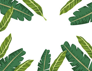 tropical leafs palm nature frame