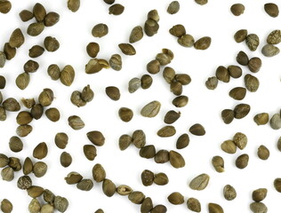 capers isolated on a white background. Marinated Capers