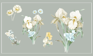 Elegant hand-painted iris