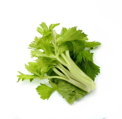 Fresh organic green celery isolated on white background