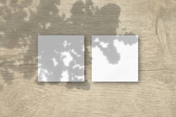 2 square sheets of white textured paper on the wooden table background. Mockup overlay with the plant shadows. Natural light casts shadows from the oak leaves. Flat lay, top view