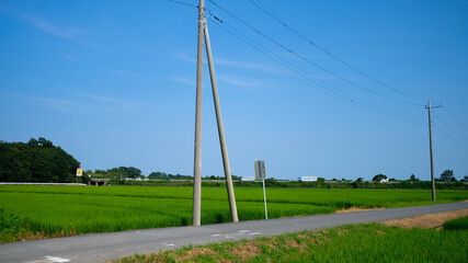 水田と常磐道　
