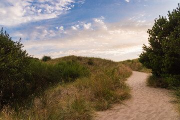 Path through sand dunes on Oregon Coast at golden hour sunset