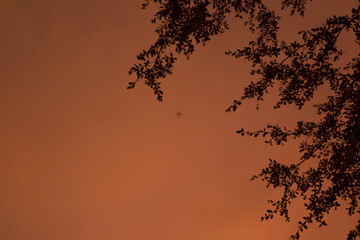 Beautiful colorful Tropical Orange Sunset Sky Airplane At distance Tree silhouttes