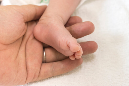 生後一ヶ月の赤ちゃんの足と３０代の父親の手