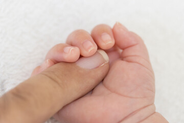 ３０代の父親の指を握りしめる、生後一ヶ月の赤ちゃんの手