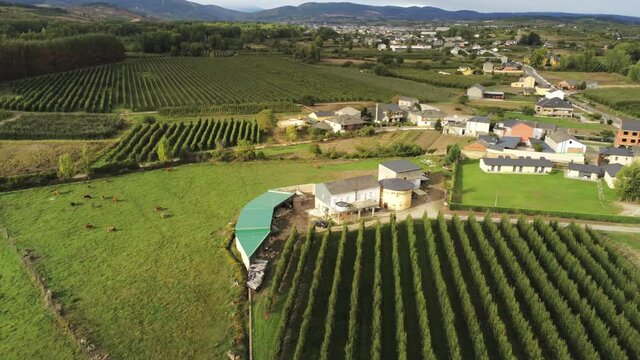 Scenic view of  fields in El Bierzo,Leon,Spain. Aerial Drone Footage