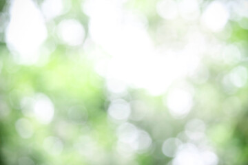 Abstract green bokeh light background on nature, defocus blurred green leaf background under sunlight